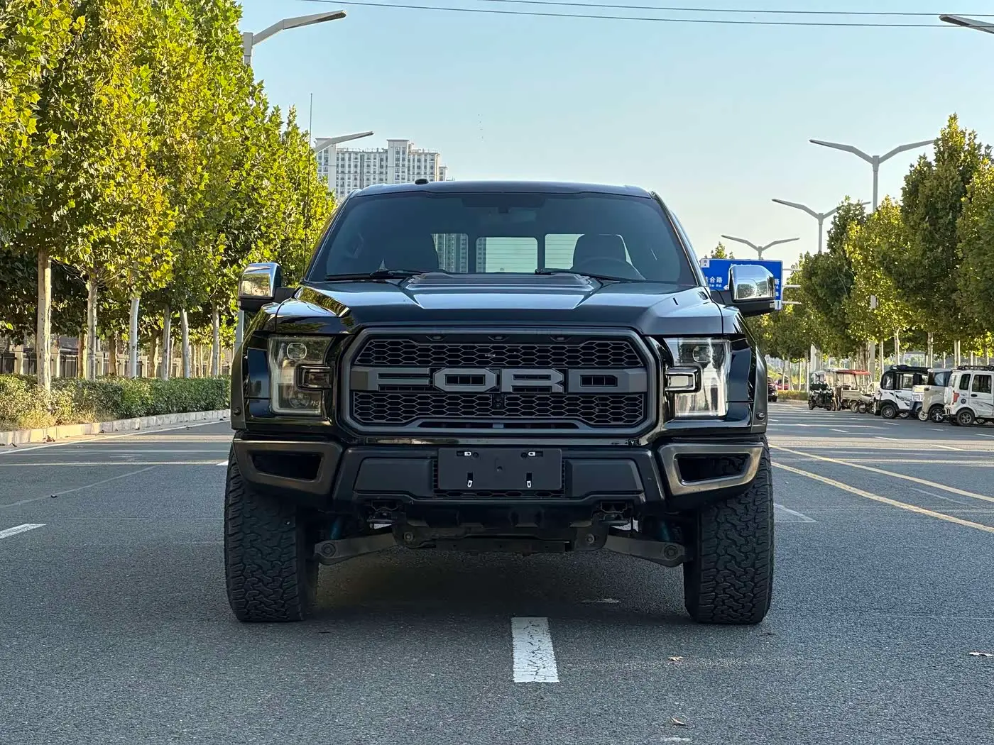 Ford F-150 Raptor 2017 — Фото 1/6