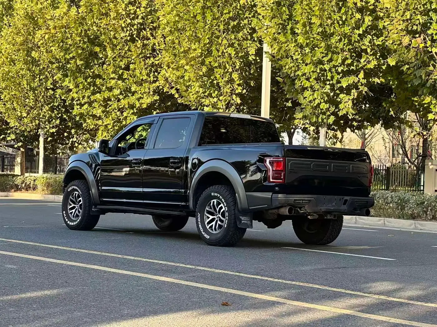 Ford F-150 Raptor 2017 — Фото 6/6