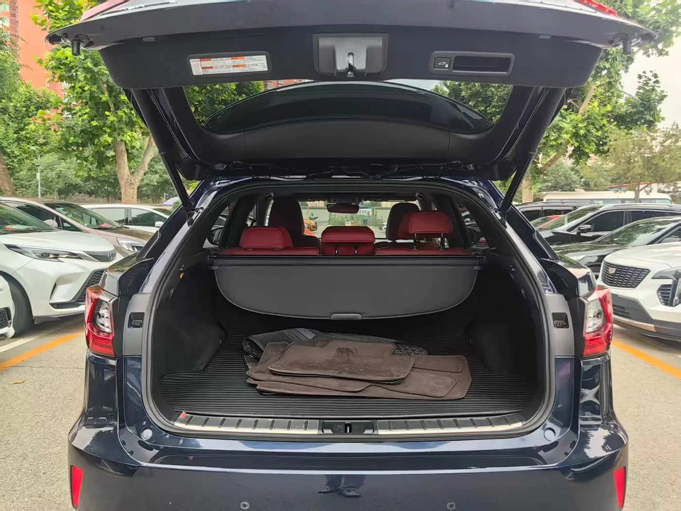 Lexus RX 2019 — Photo 14/20