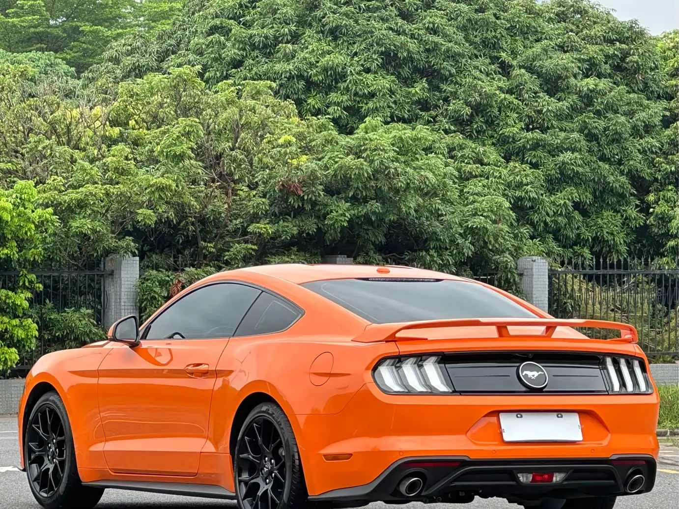 Ford Mustang 2021 — Photo 6/18