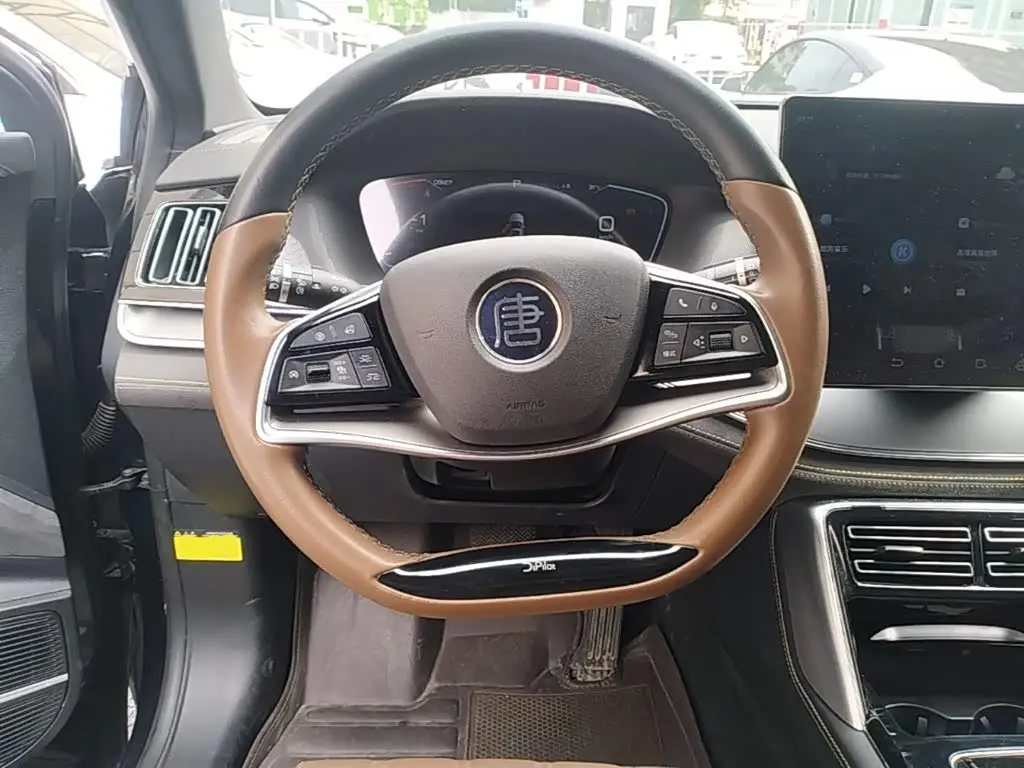 BYD Tang New Energy 2023 — Photo 11/20