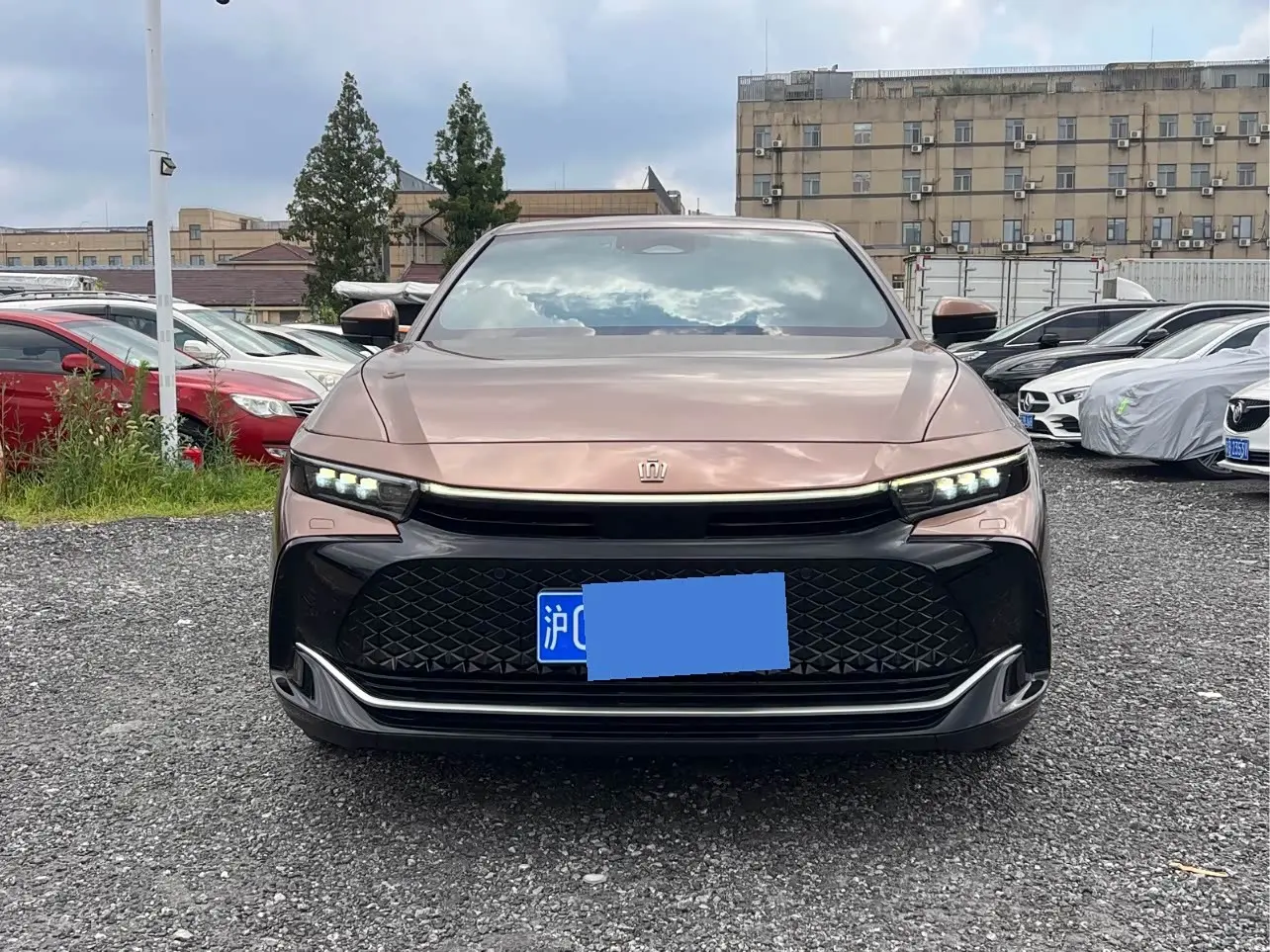 Toyota Crown SportCross 2024 — Photo 2/15
