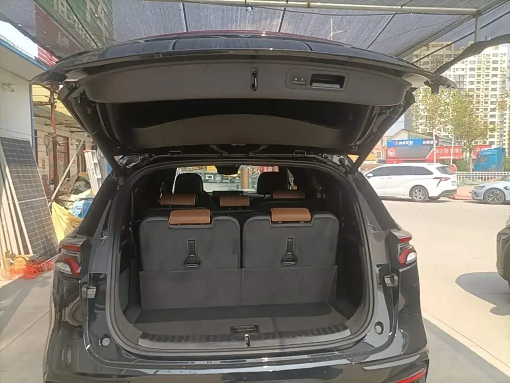 BYD Tang New Energy 2021 — ფოტო 19/20