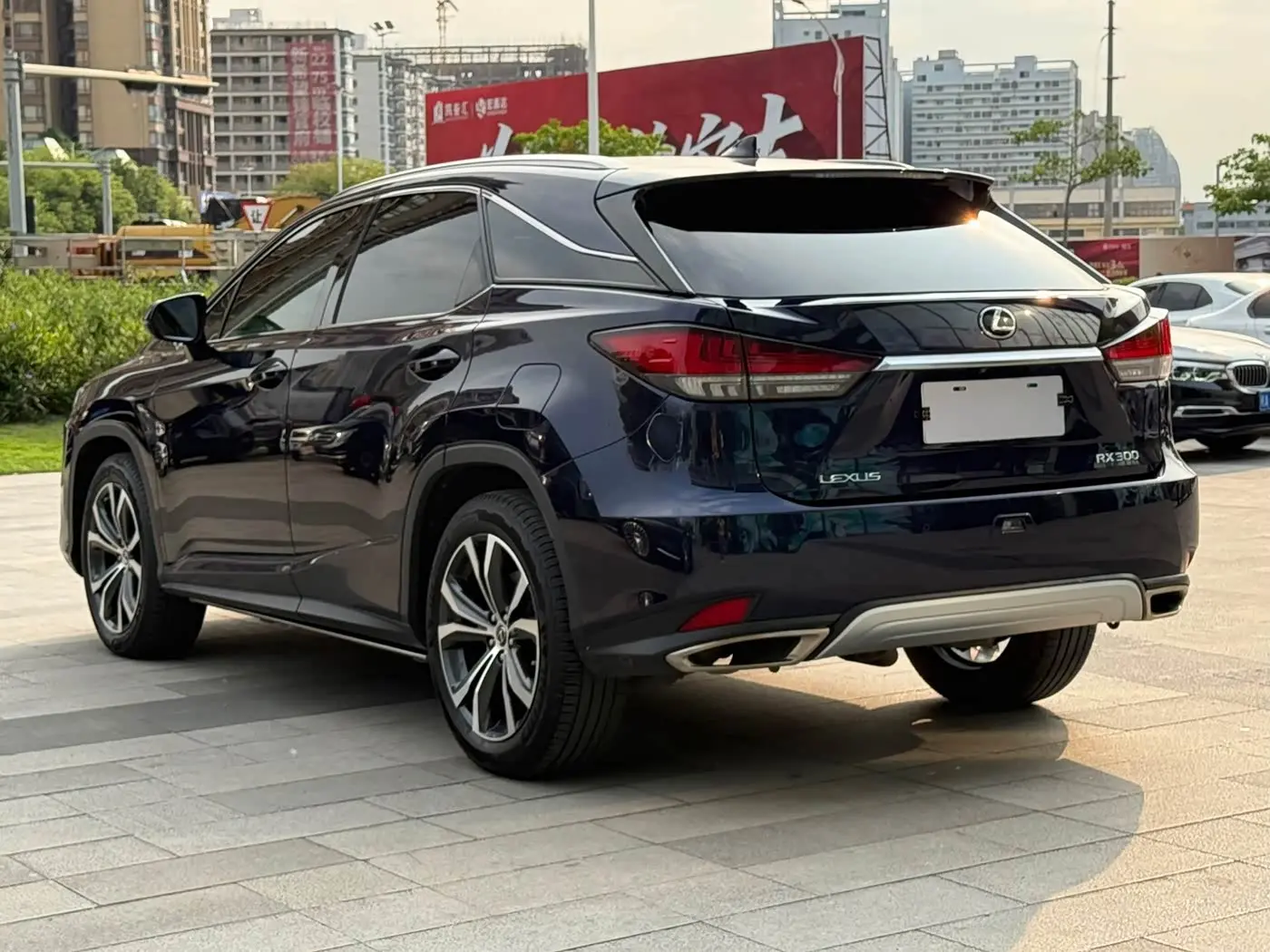 Lexus RX 2021 — Фото 7/20