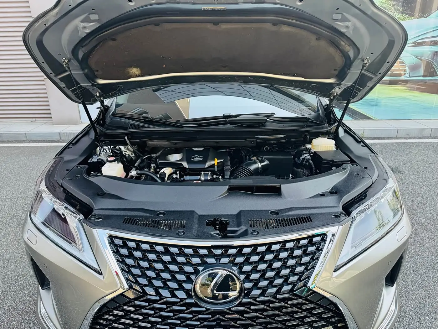 Lexus RX 2020 — ფოტო 10/18