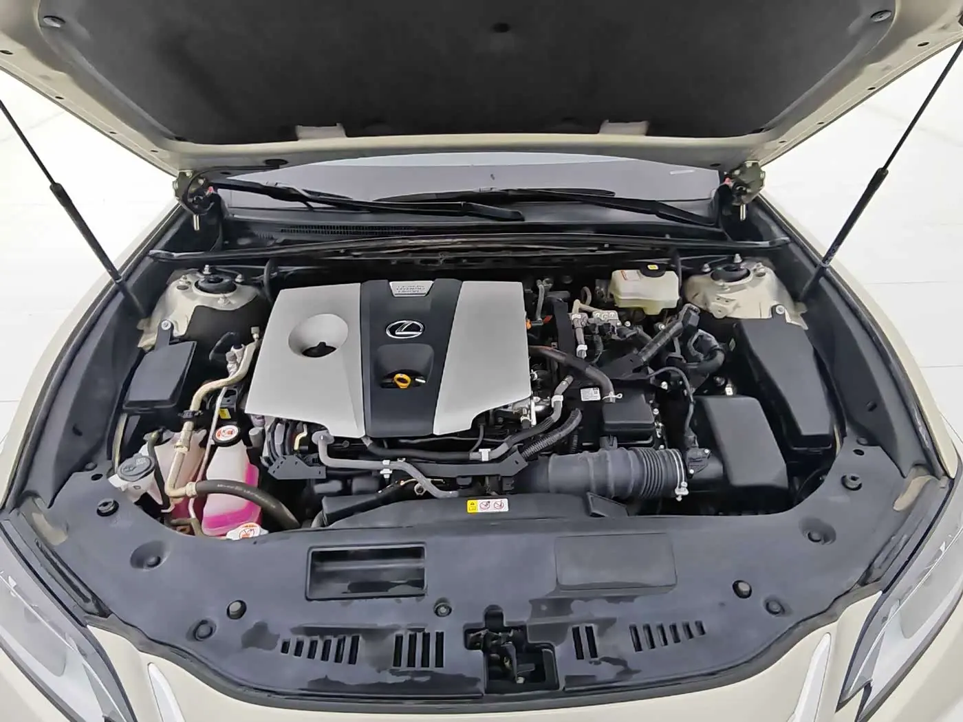 Lexus ES 2021 — Photo 10/20