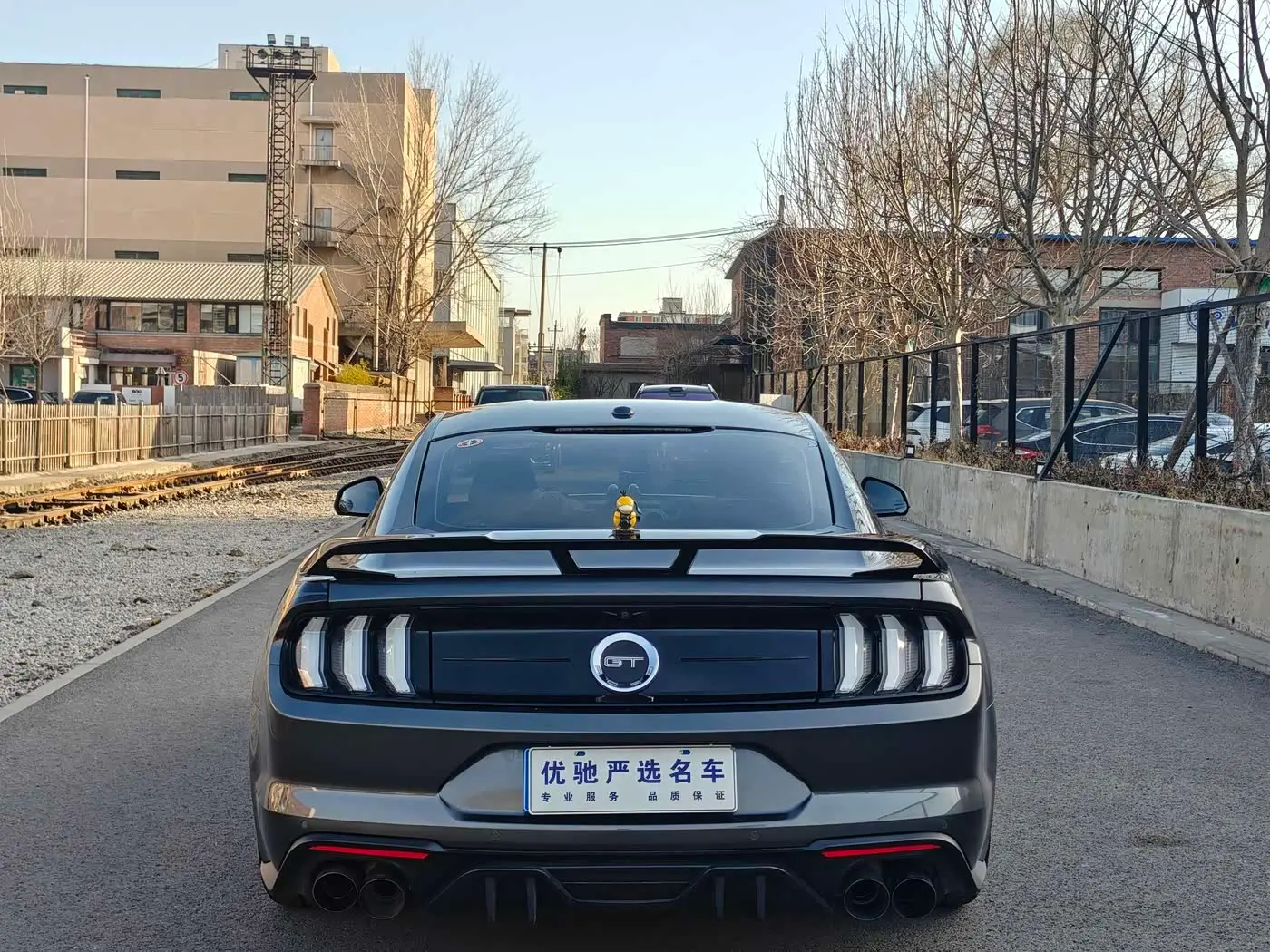 Ford Mustang 2019 — Фото 8/20