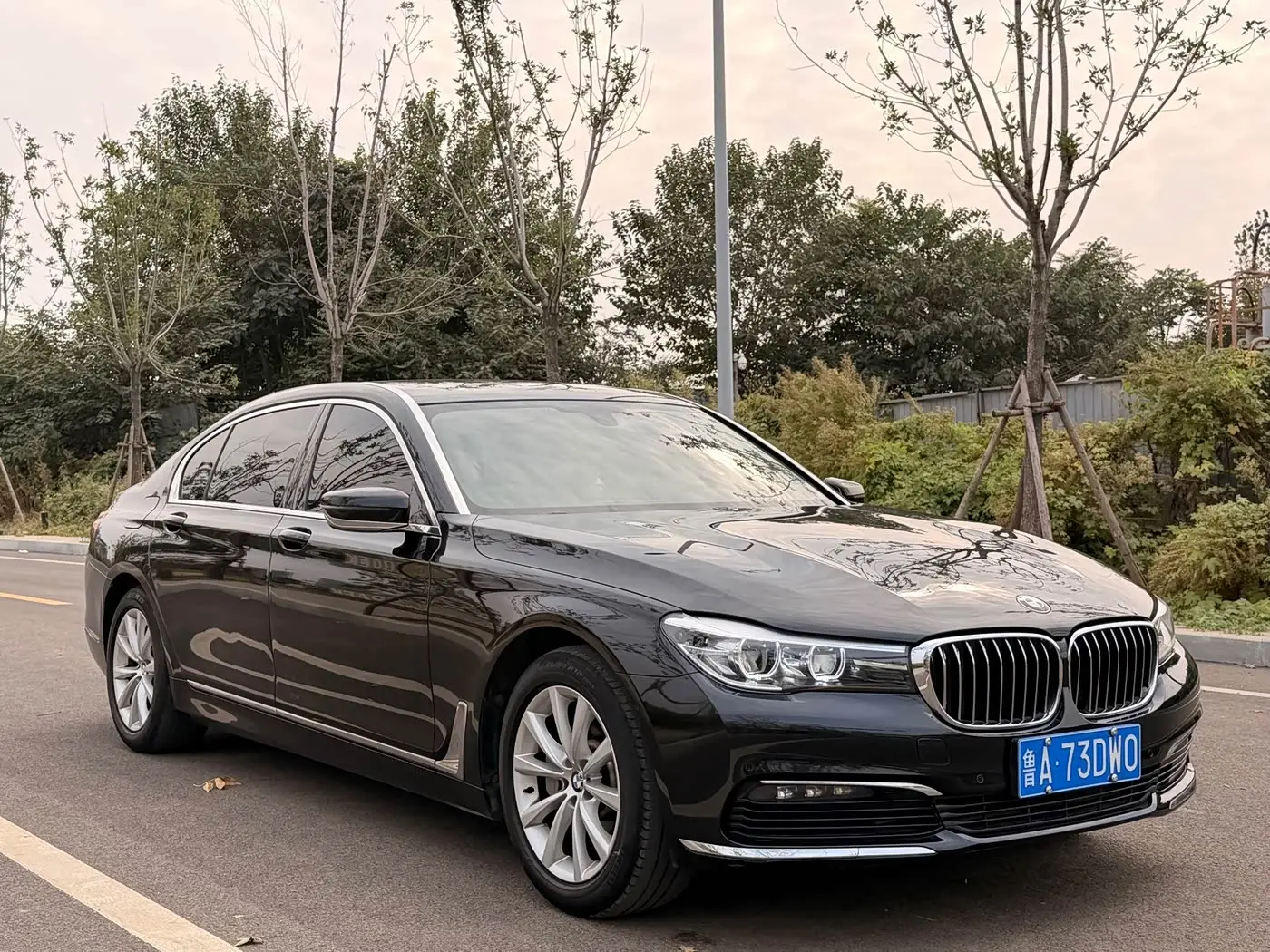 BMW 7 Series 2017 — Photo 3/16
