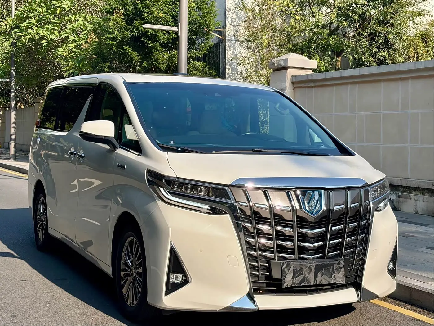Toyota Alphard 2020 — Photo 3/17