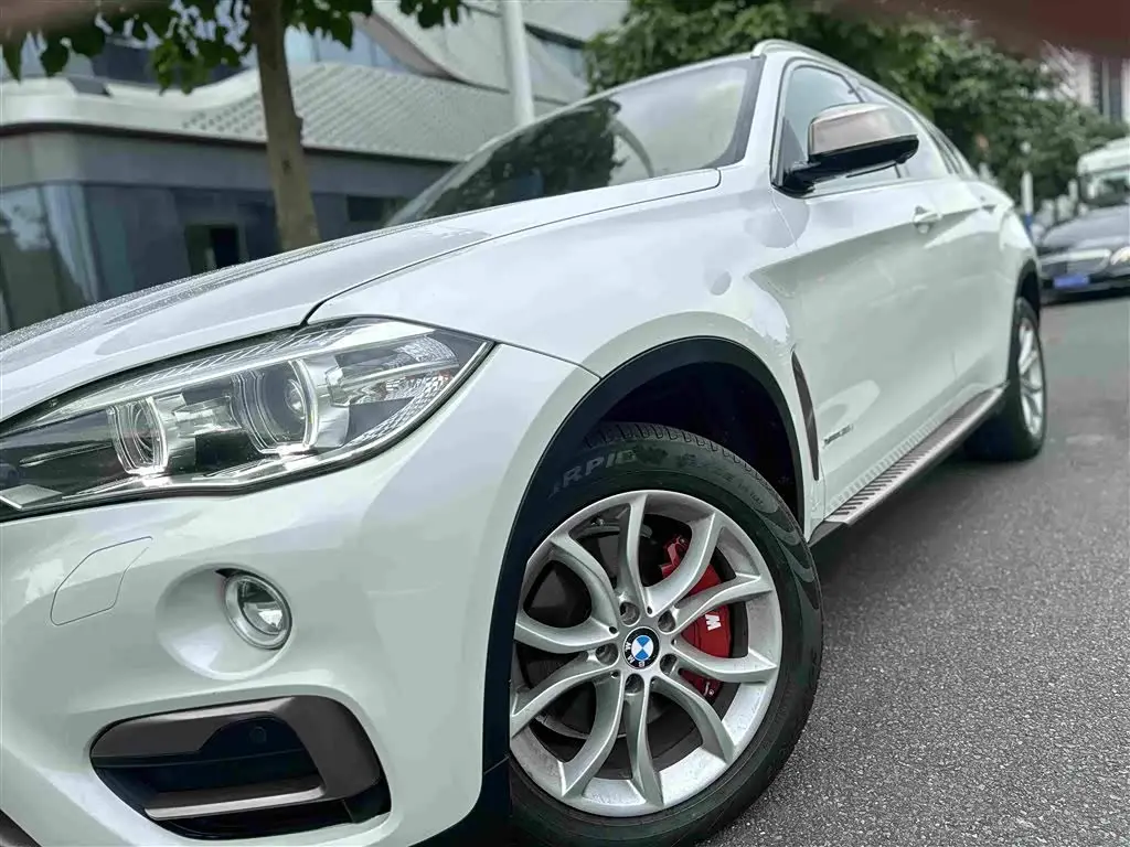 BMW X6 2017 — Фото 12/20