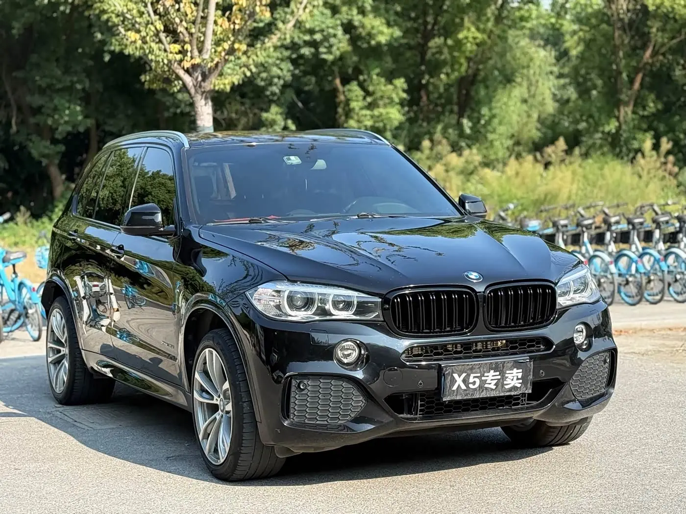 BMW X5 2017 — Фото 3/18