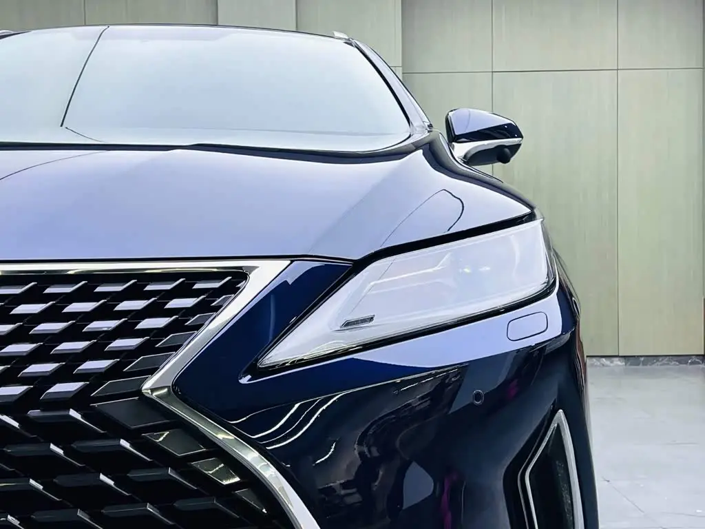 Lexus RX 2020 — Photo 7/15