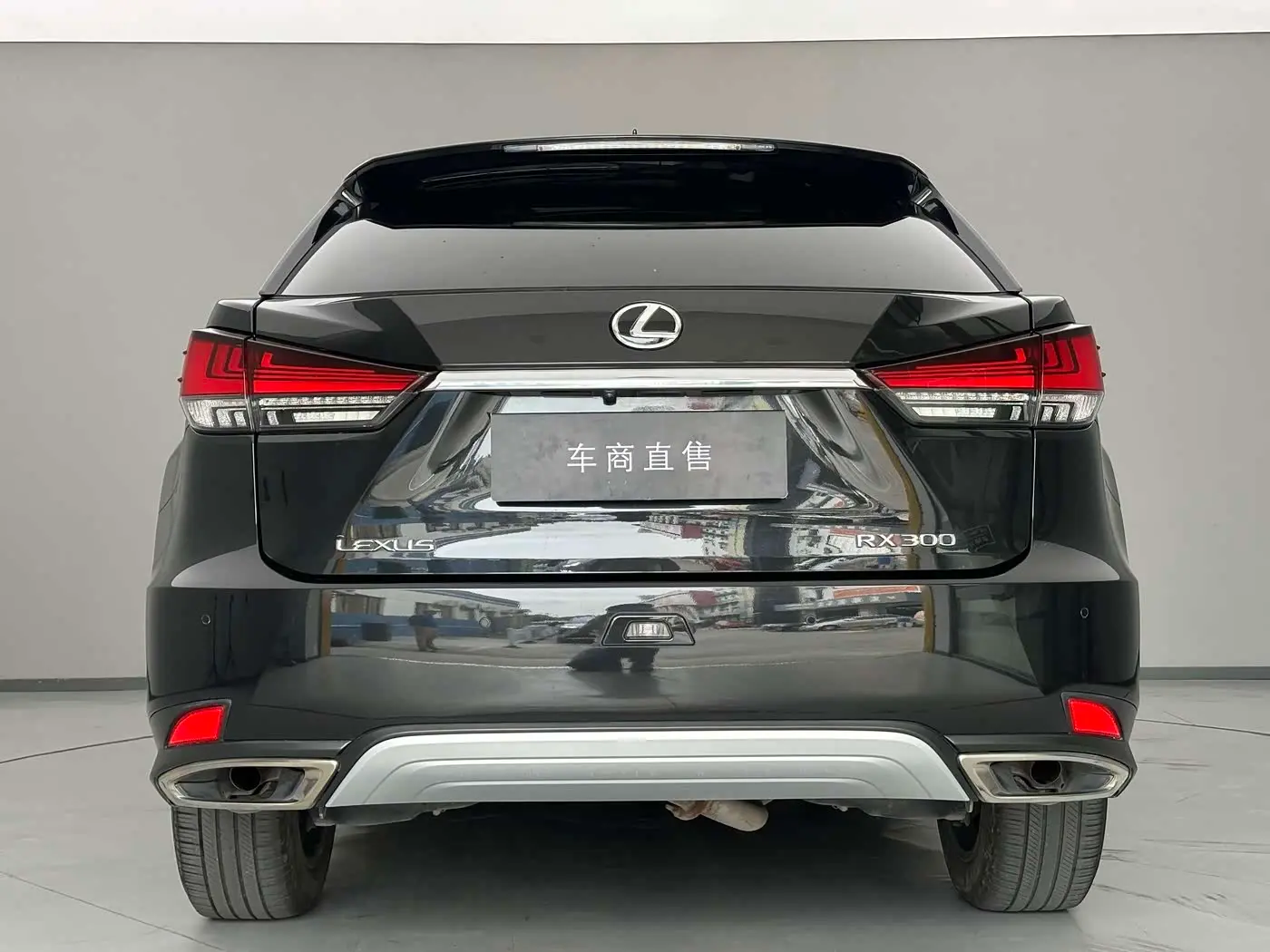 Lexus RX 2021 — Фото 7/16