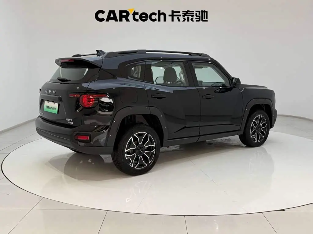 Haval Second-Generation Big Dog New Energy 2026 — Photo 11/20