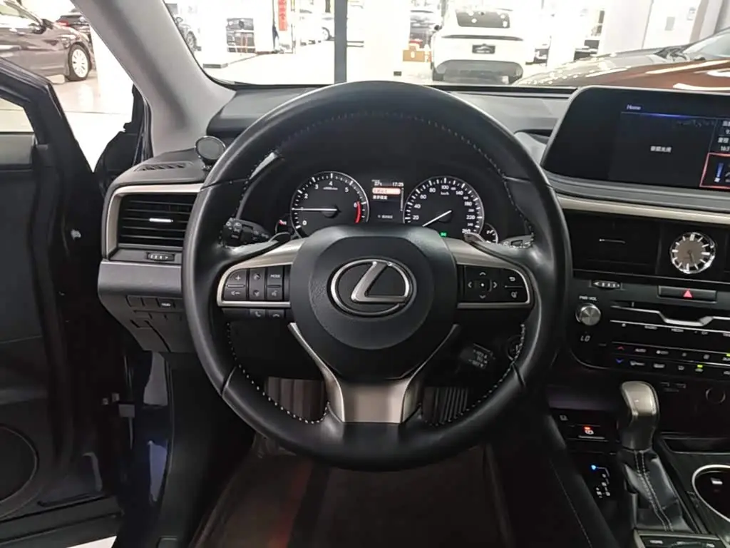 Lexus RX 2021 — Photo 11/20