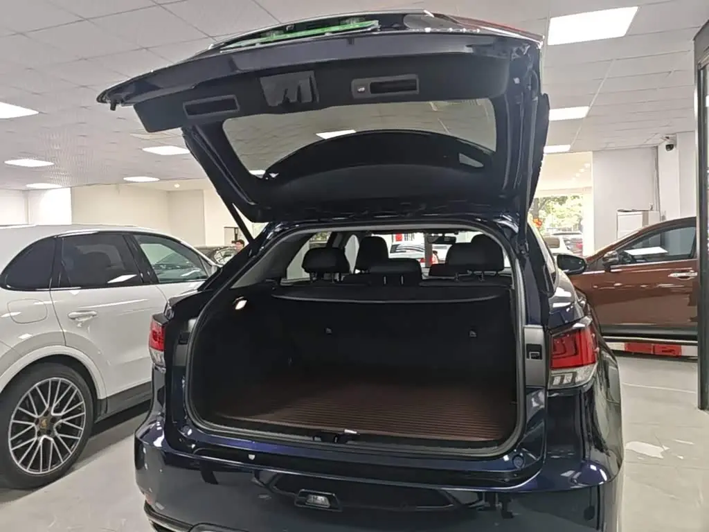 Lexus RX 2021 — Photo 19/20
