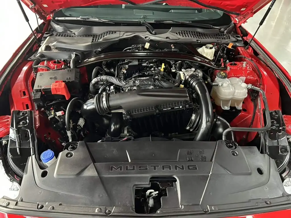 Ford Mustang 2024 — Photo 19/20