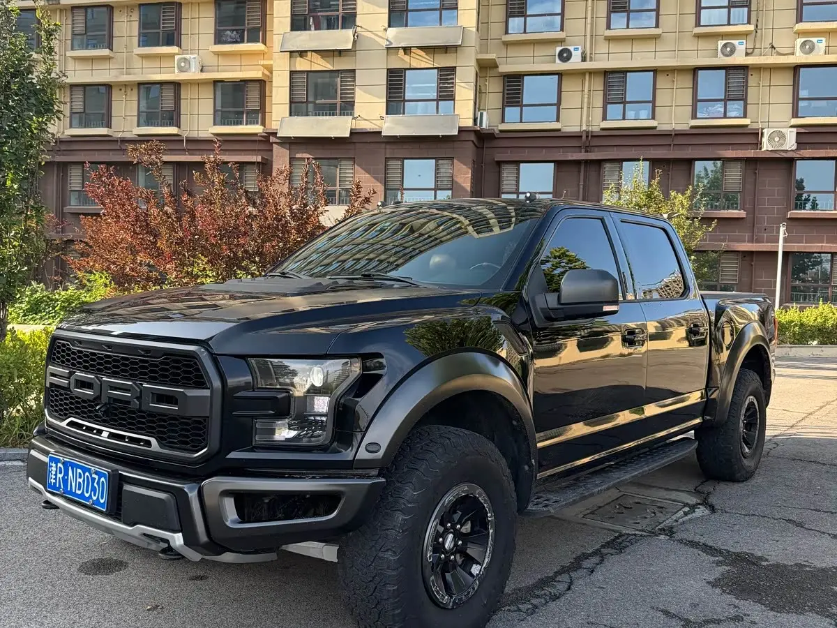 Ford F-150 Raptor 2018 — Photo 1/12