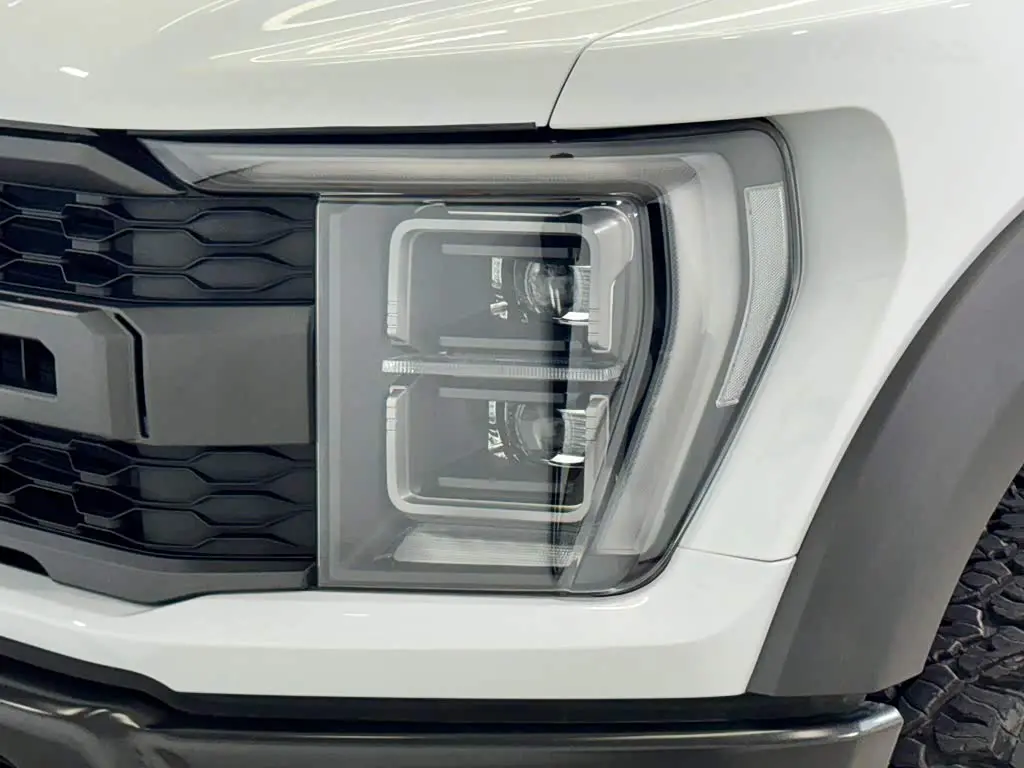 Ford F-150 Raptor 2023 — Фото 8/20