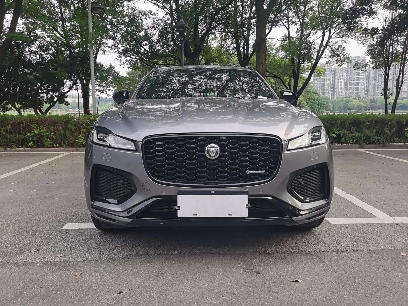 Jaguar F-PACE 2024 — Фото 2/20