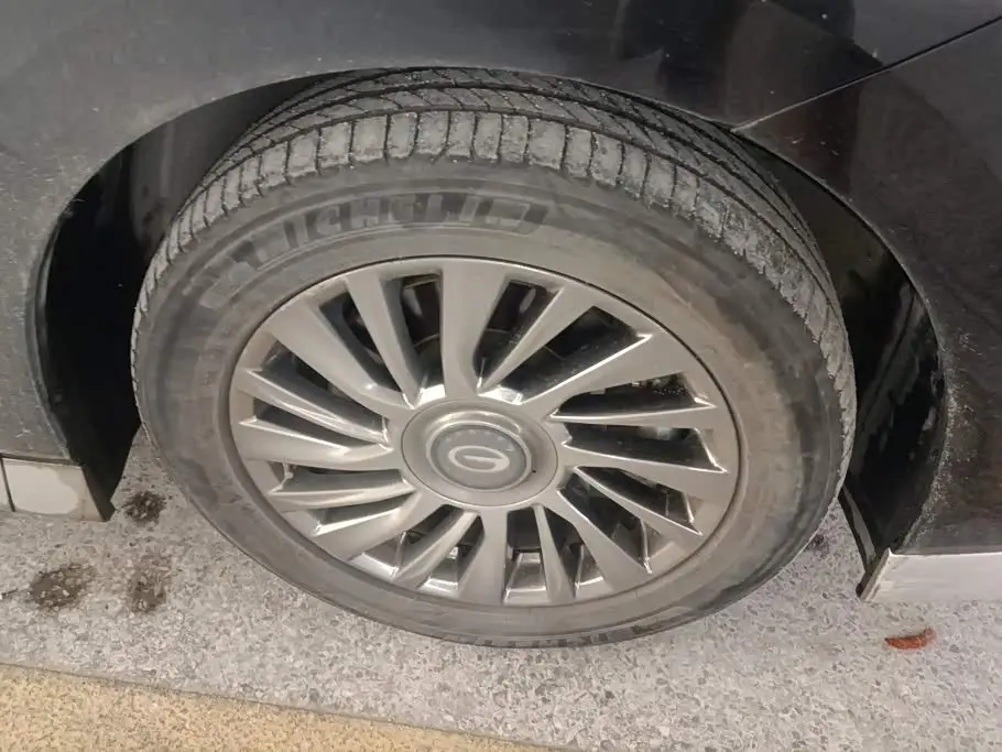 GAC Trumpchi Trumpchi M8 2024 — Photo 6/16