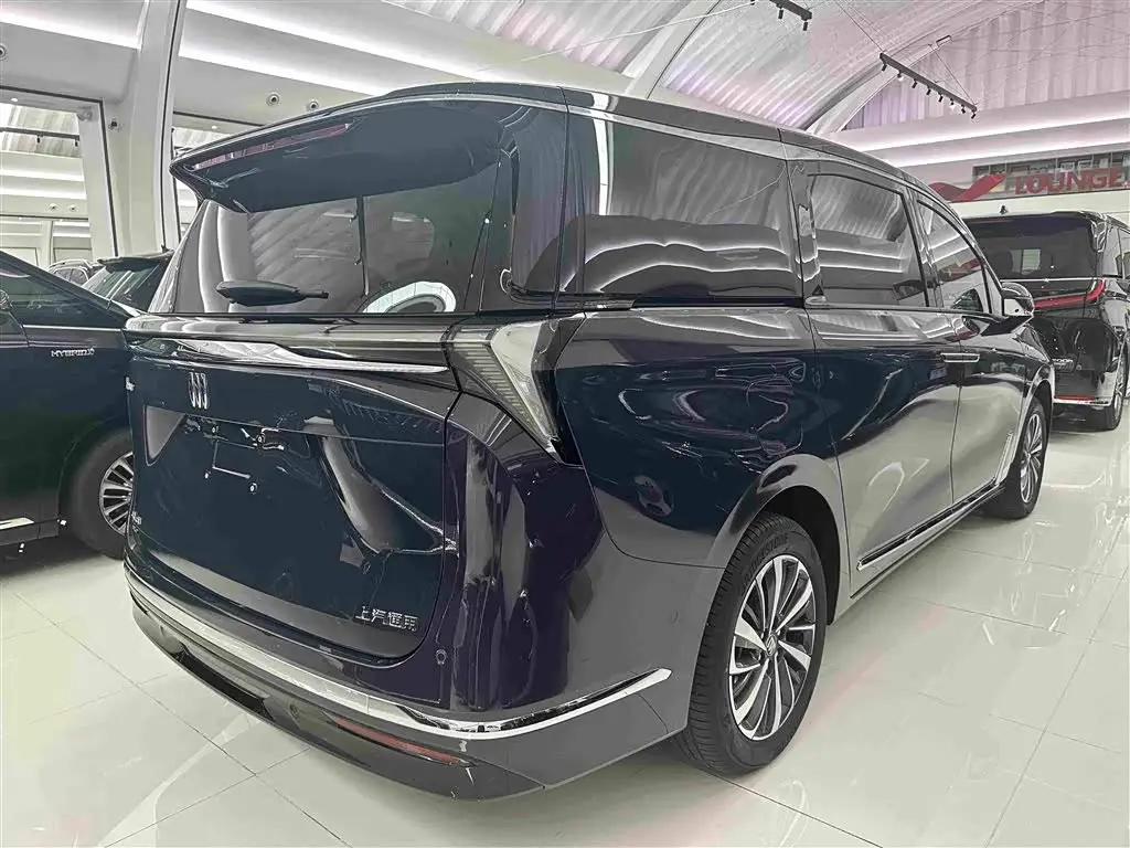 Buick GL8 New Energy 2025 — Photo 17/19