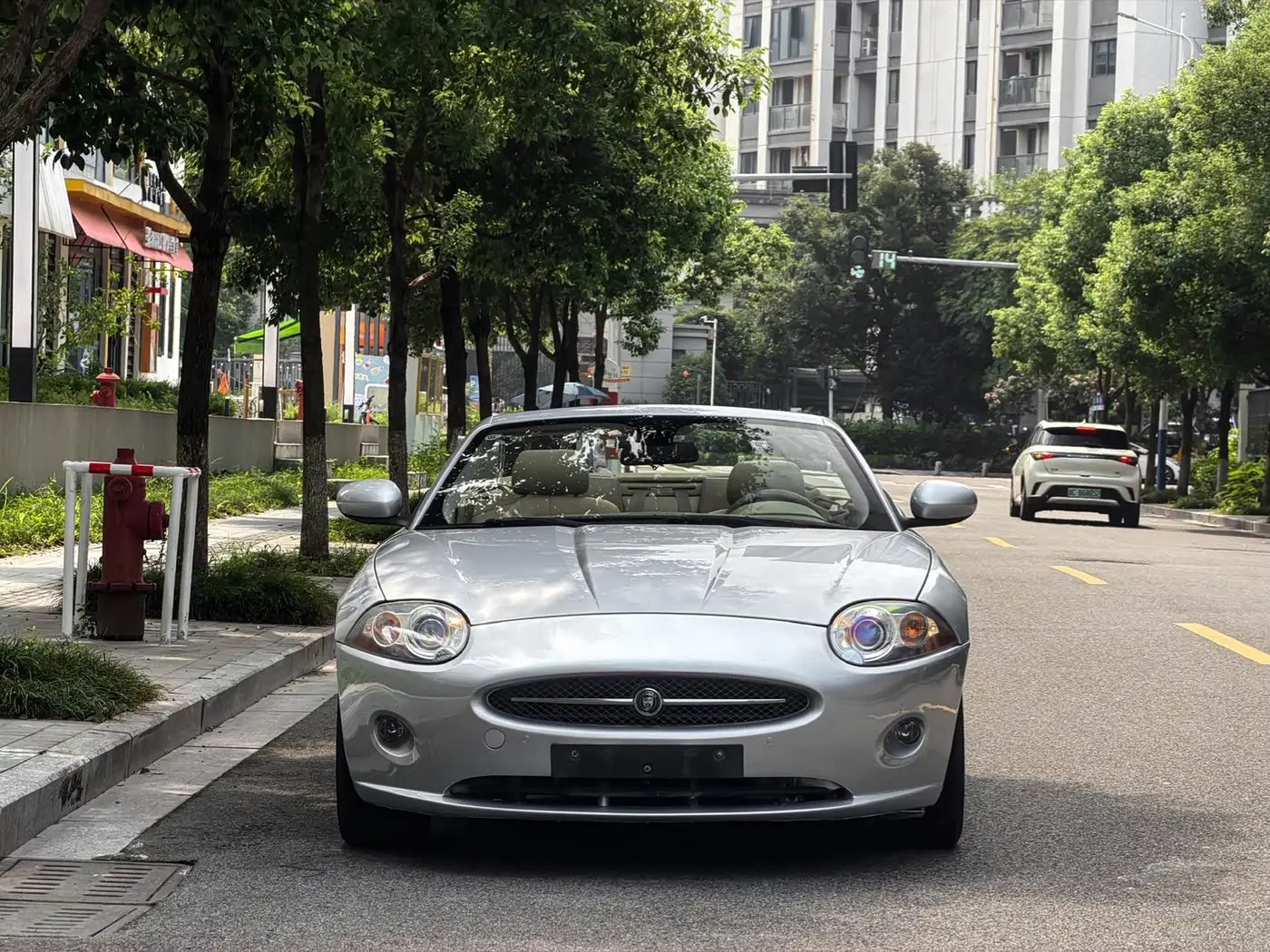 Jaguar XK 2009 — Photo 2/14