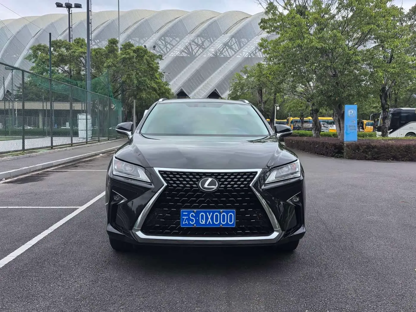 Lexus RX 2019 — Фото 2/17