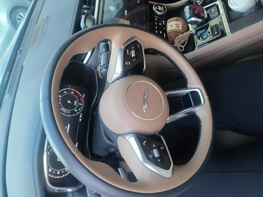 Jaguar XFL 2025 — Фото 15/16