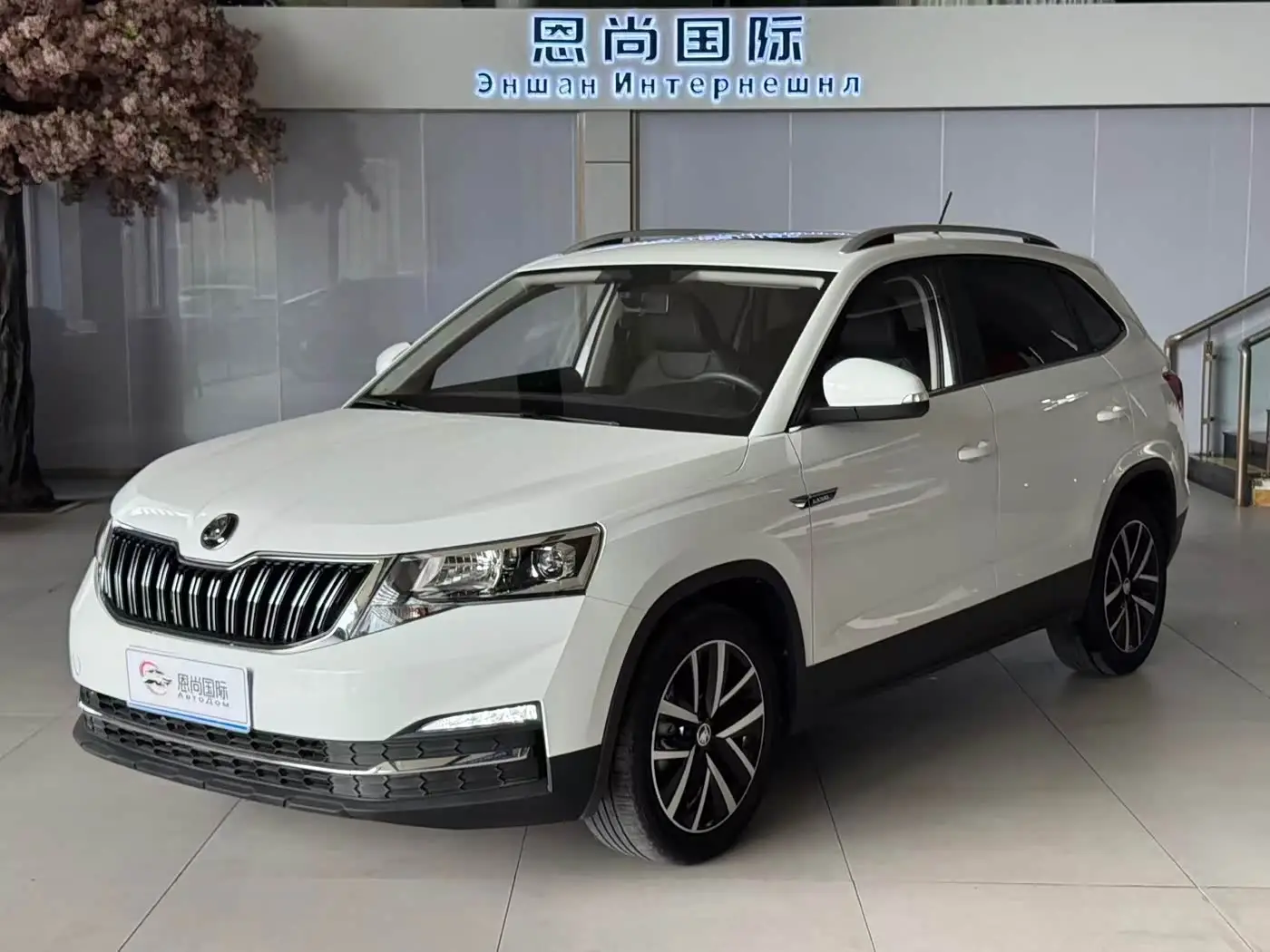 Škoda Kamiq, 2023