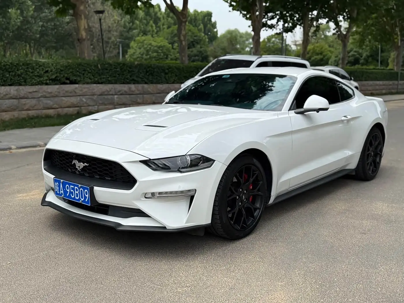 Ford Mustang, 2019
