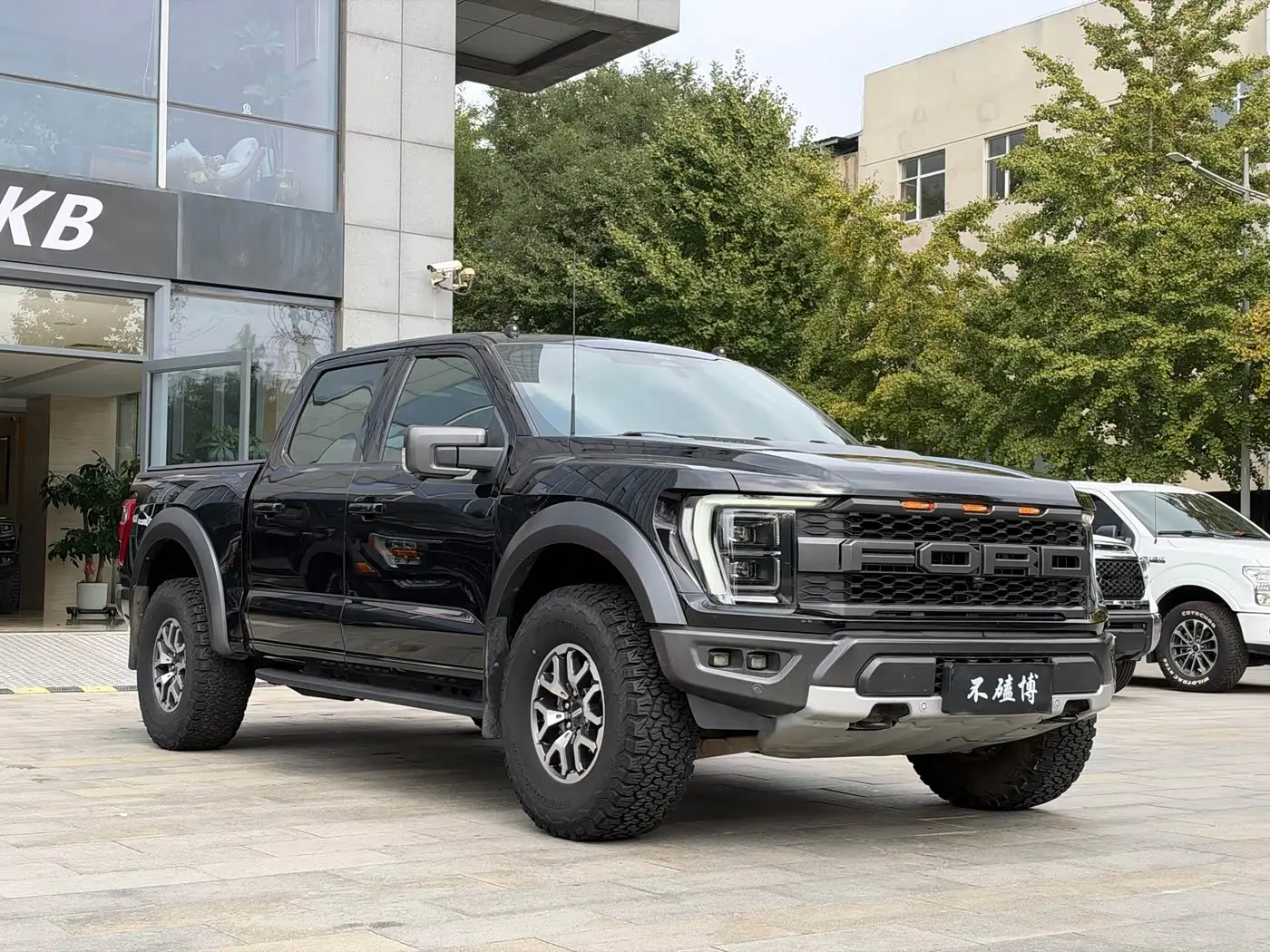 Ford F-150 Raptor 2023 — Photo 3/13