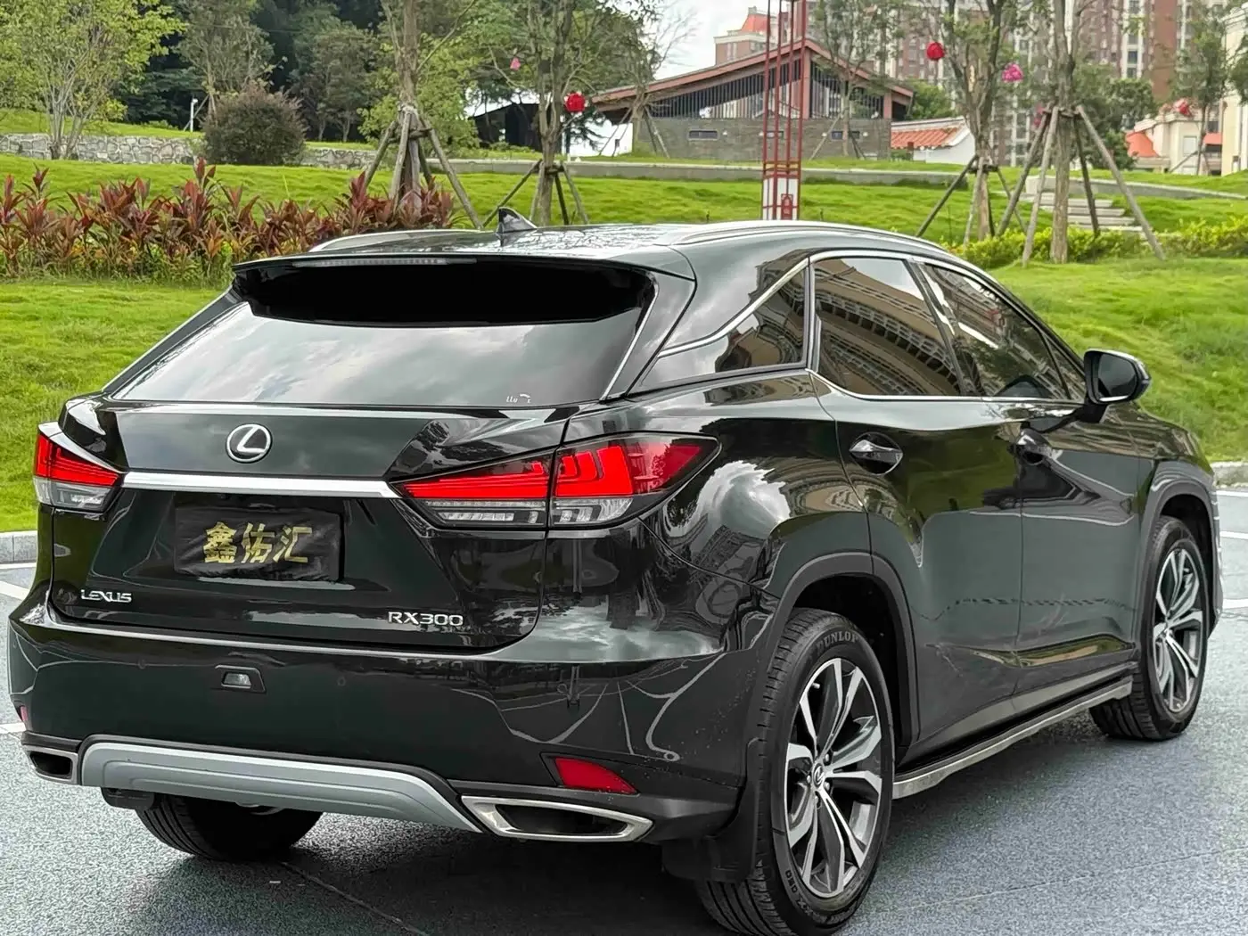 Lexus RX 2021 — Фото 9/9