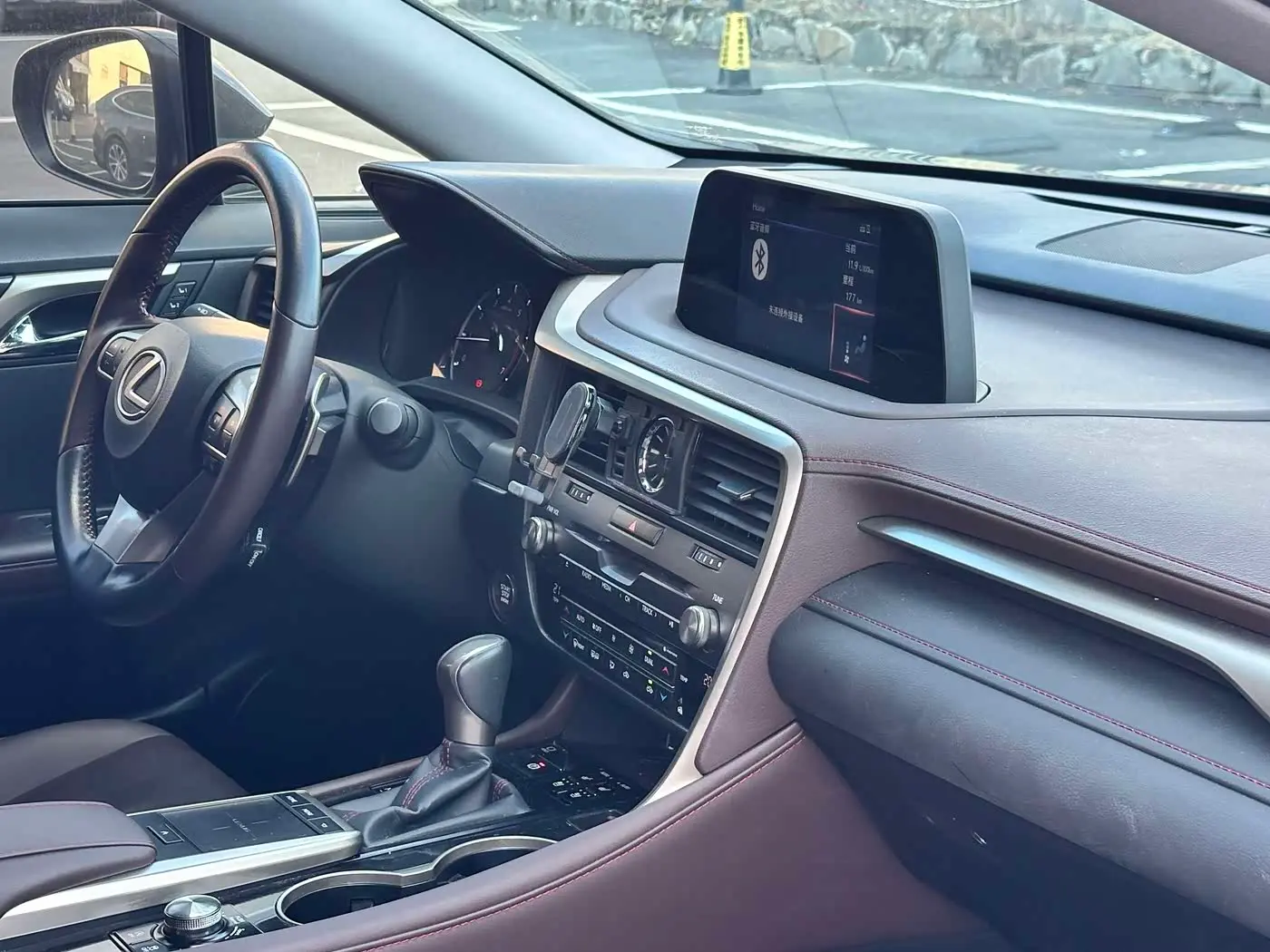 Lexus RX 2020 — Фото 15/20