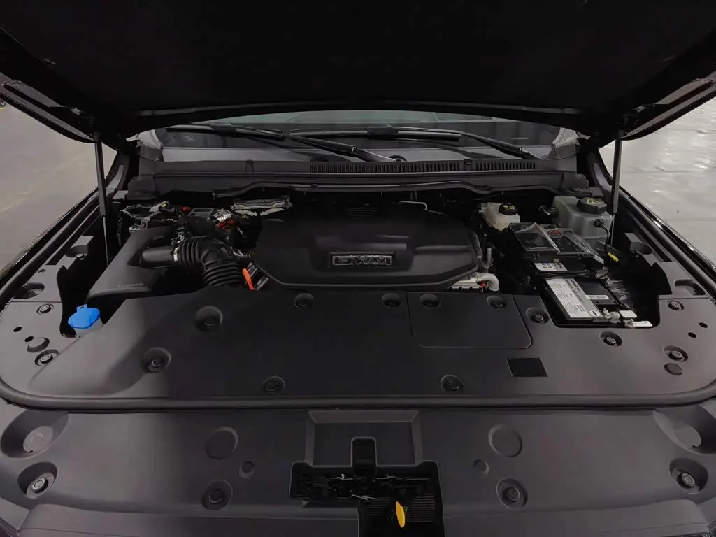 Tank 500 EV 2025 — Photo 6/20