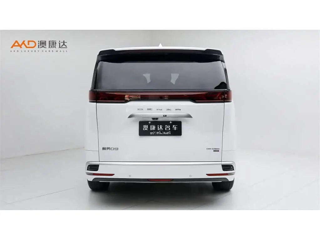 Denza D9 2025 — Photo 4/11