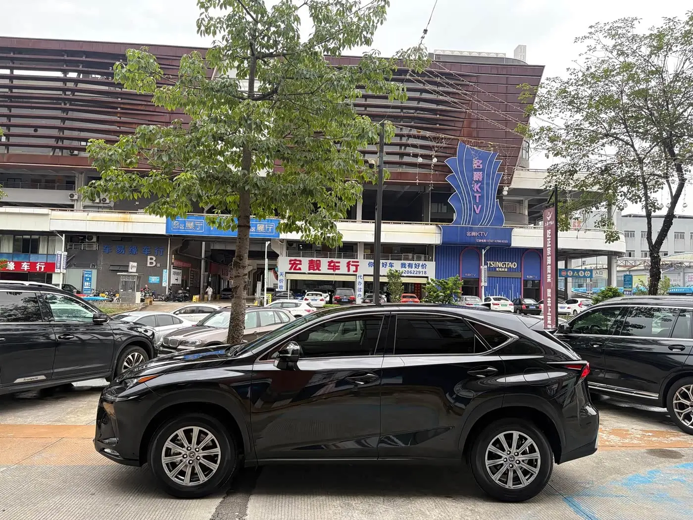 Lexus NX 2021 — Photo 4/20