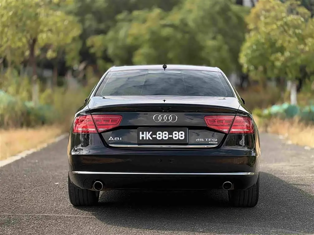 Audi A8 2014 — Фото 16/19