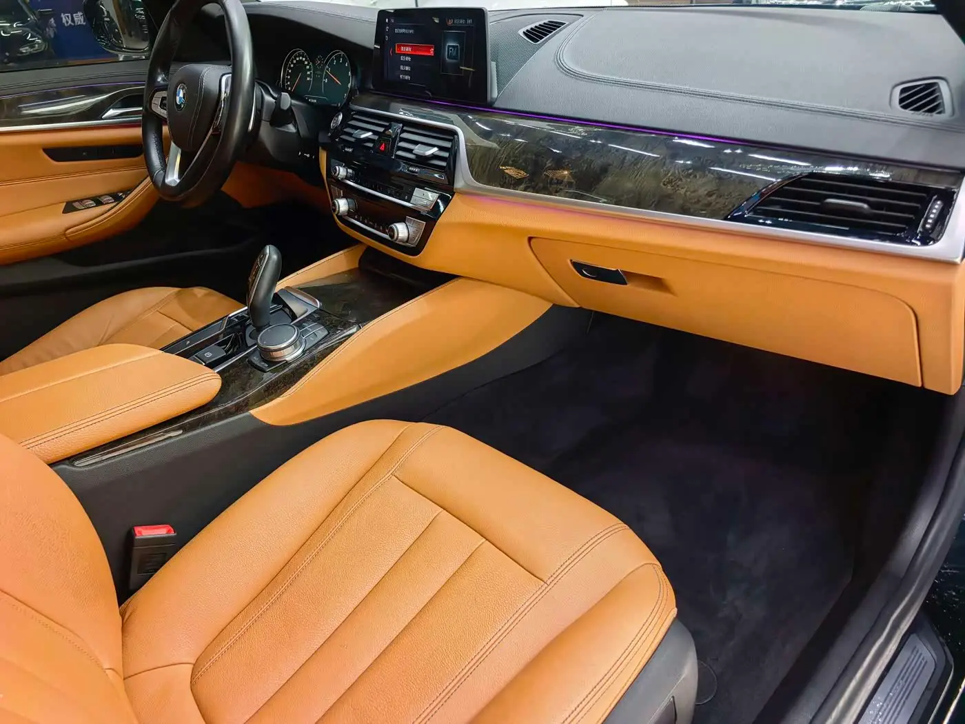 BMW 5 Series 2018 — Photo 13/16