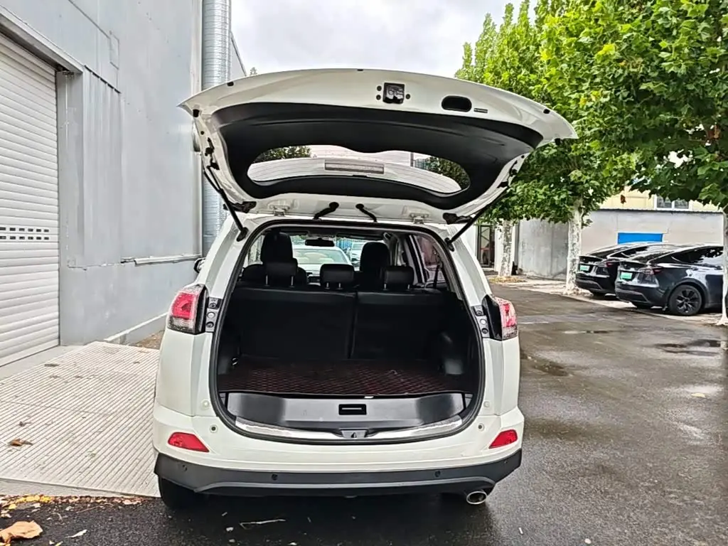 Toyota RAV4 Rongfang 2019 — Фото 18/19