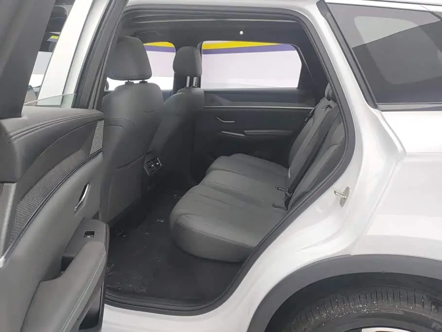 BYD Song Pro New Energy 2026 — Photo 11/16