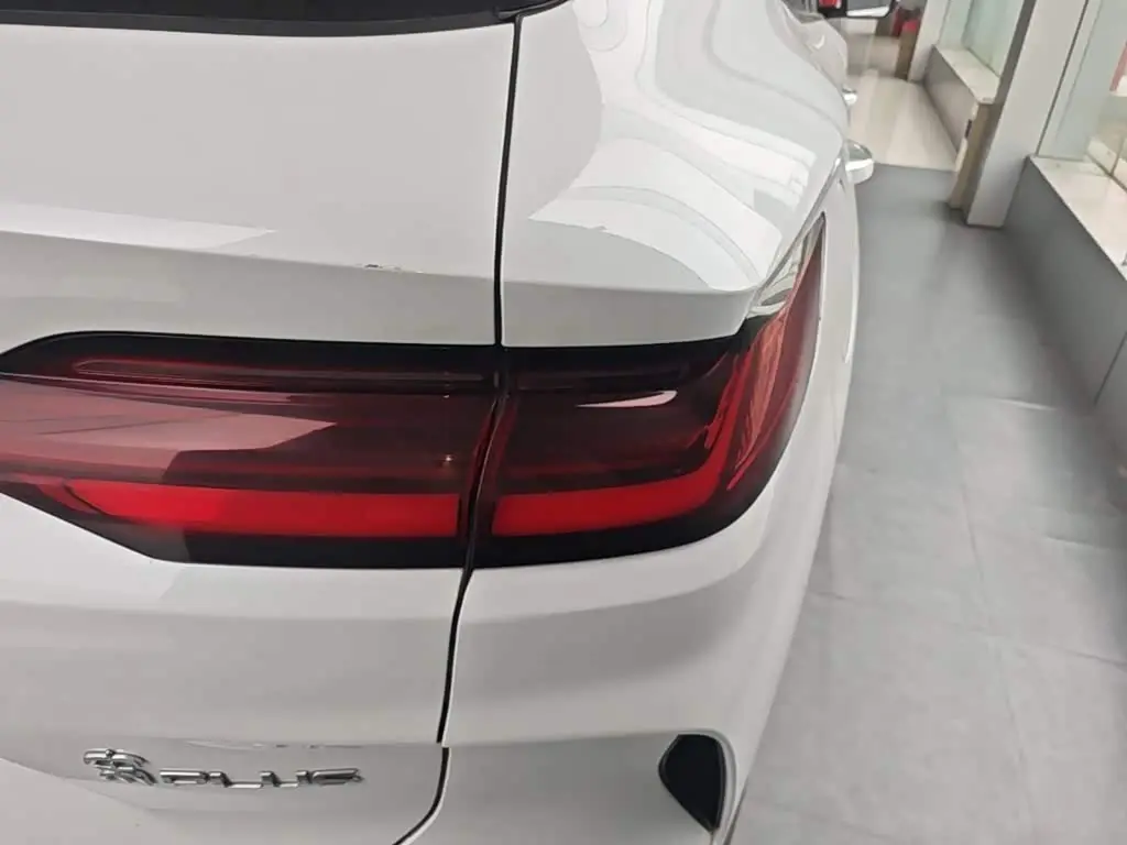 BYD Song PLUS PHEV 2024 — Photo 8/20