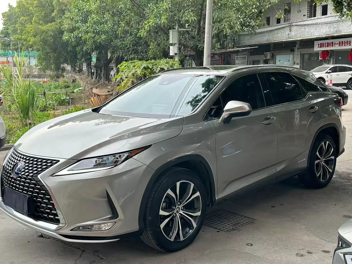 Lexus RX 2021 — Фото 1/9