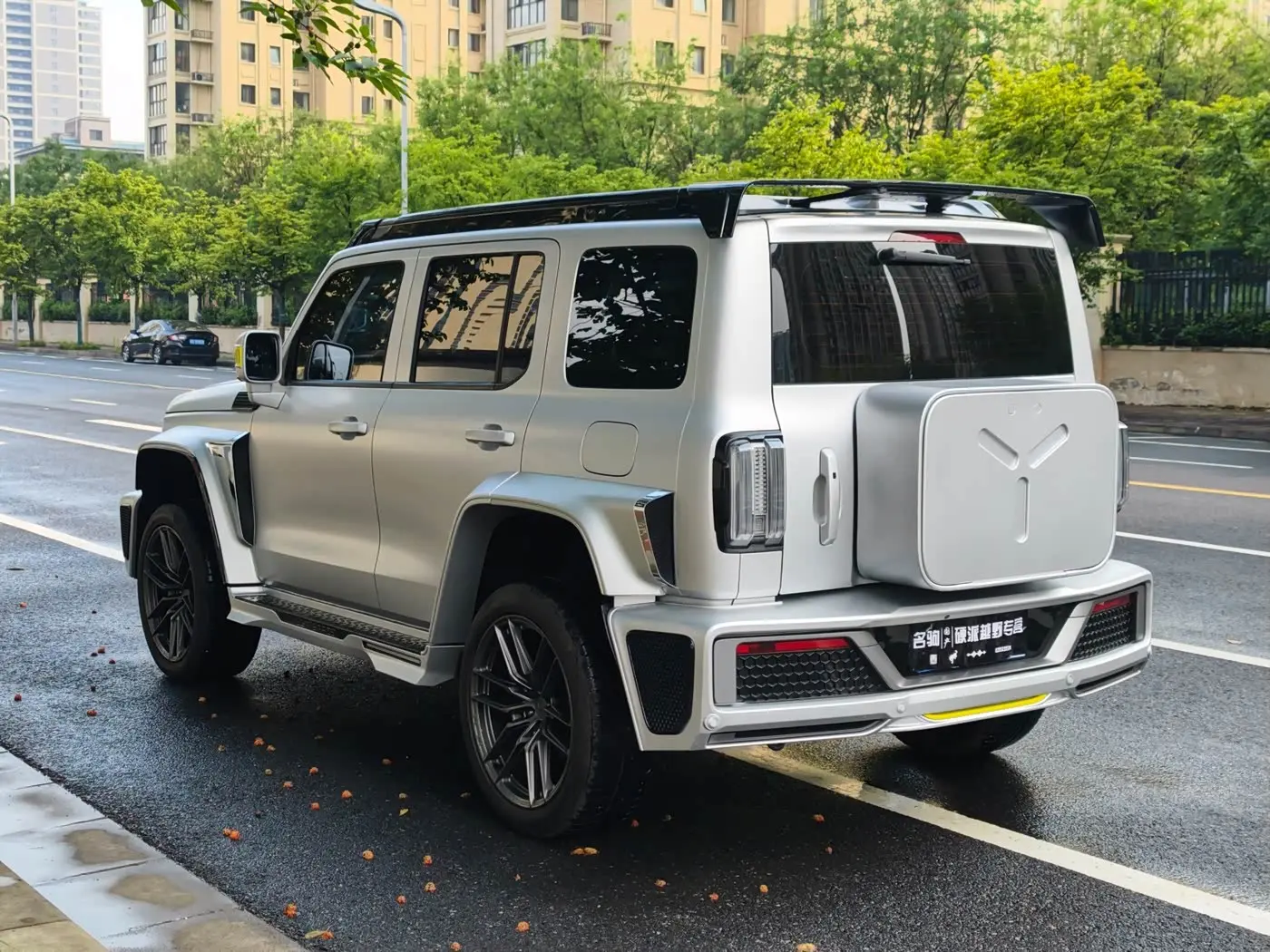 Crossboundary Auto Co-created Tank 300 2022 — ფოტო 6/18