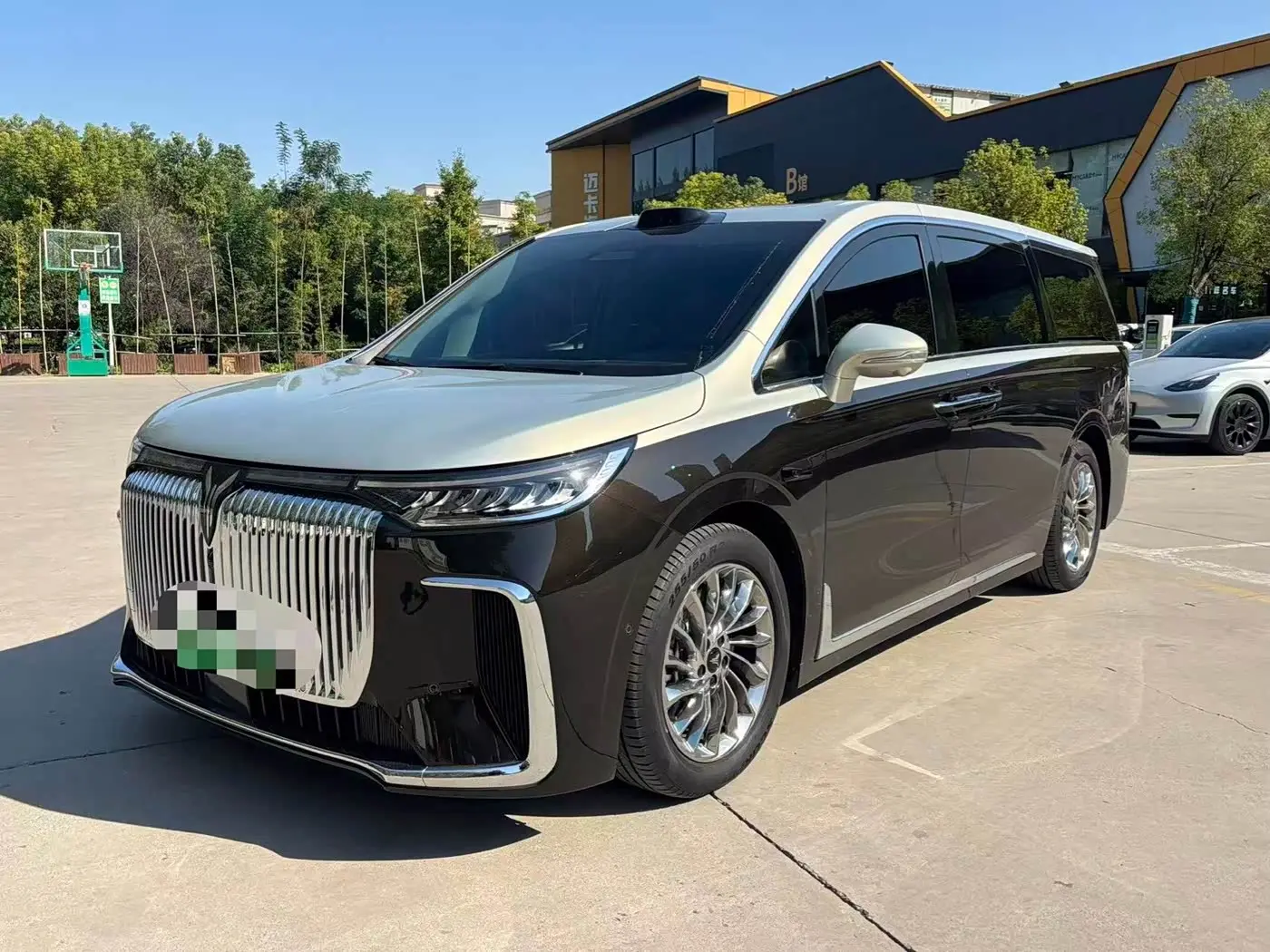 Voyah Auto Voyah Dreamer 2025 — Photo 1/10
