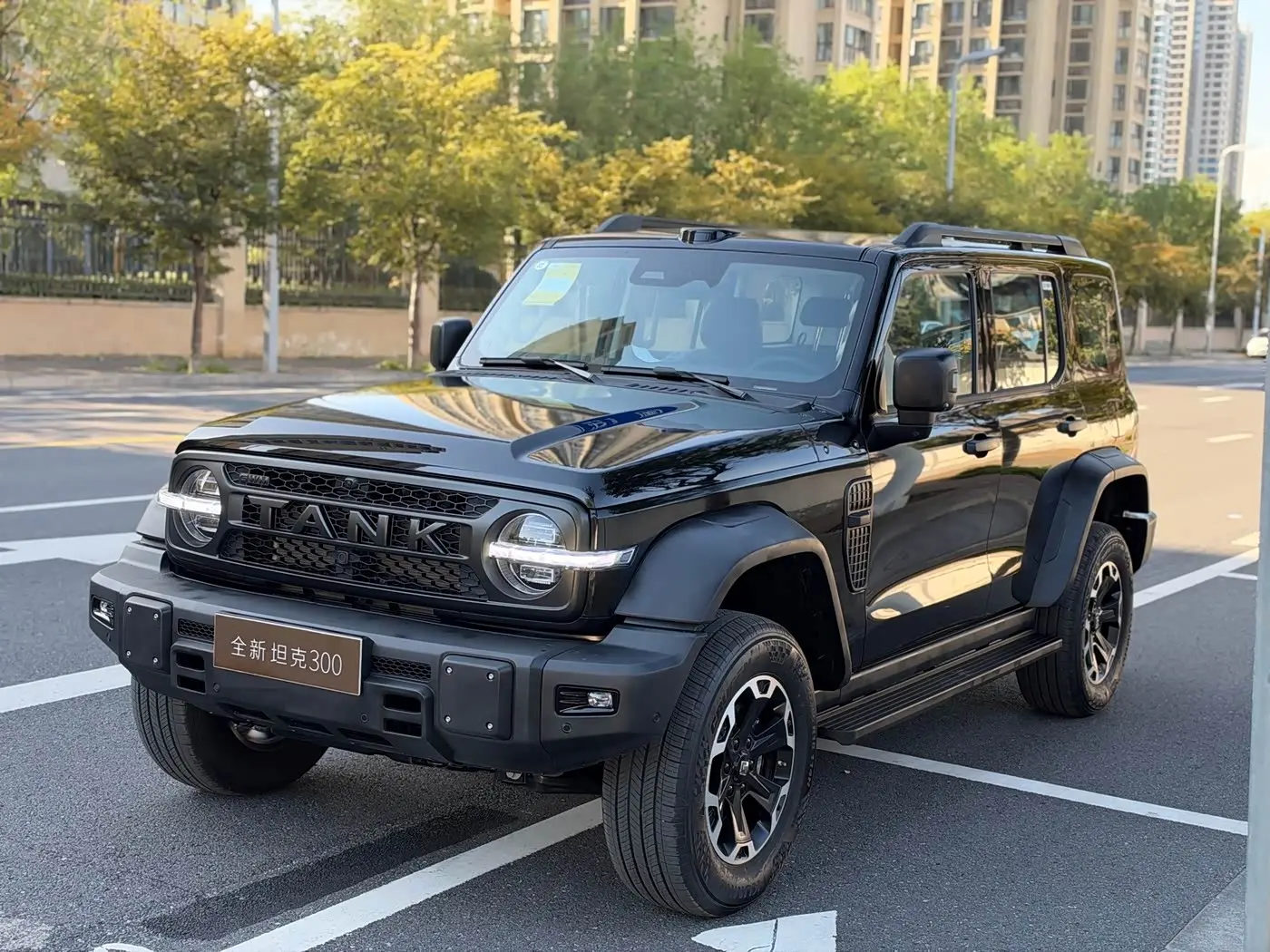 Tank 300L New Energy 2026 — Photo 1/20