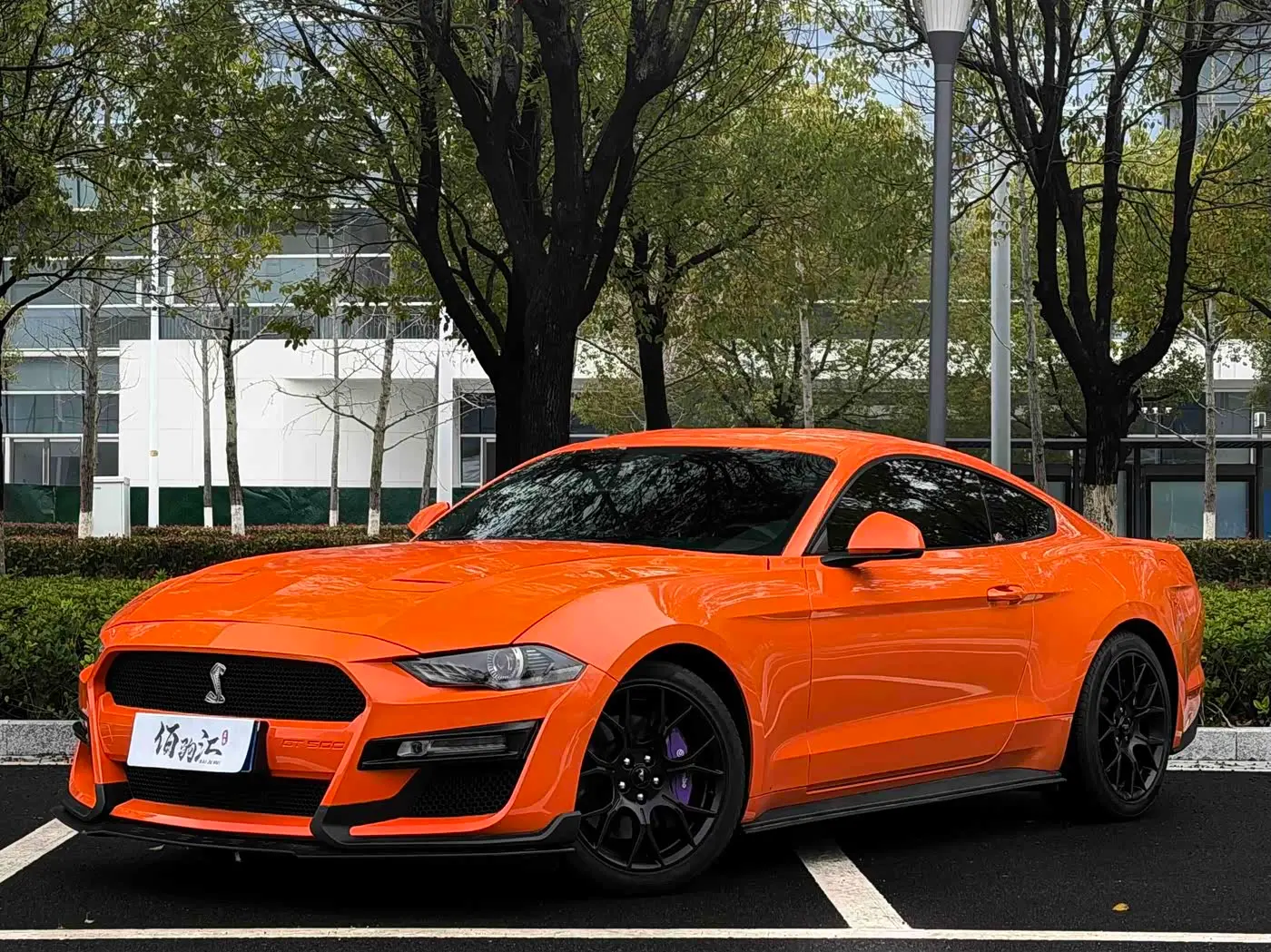 Ford Mustang 2020 — Фото 1/14