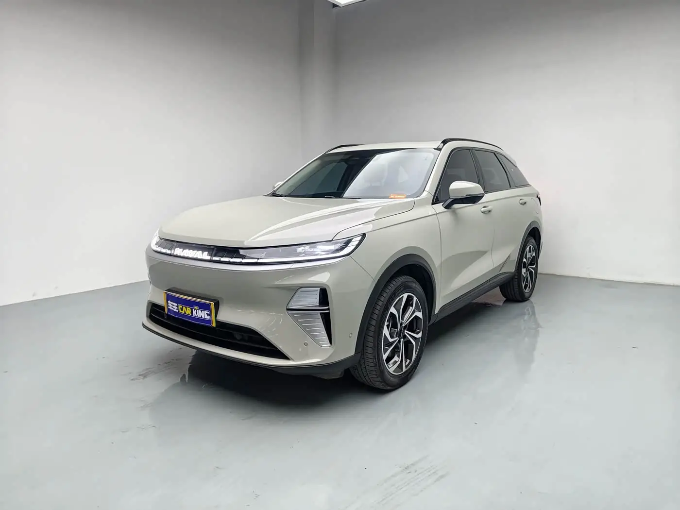 Haval Xiaolong MAX, 2025