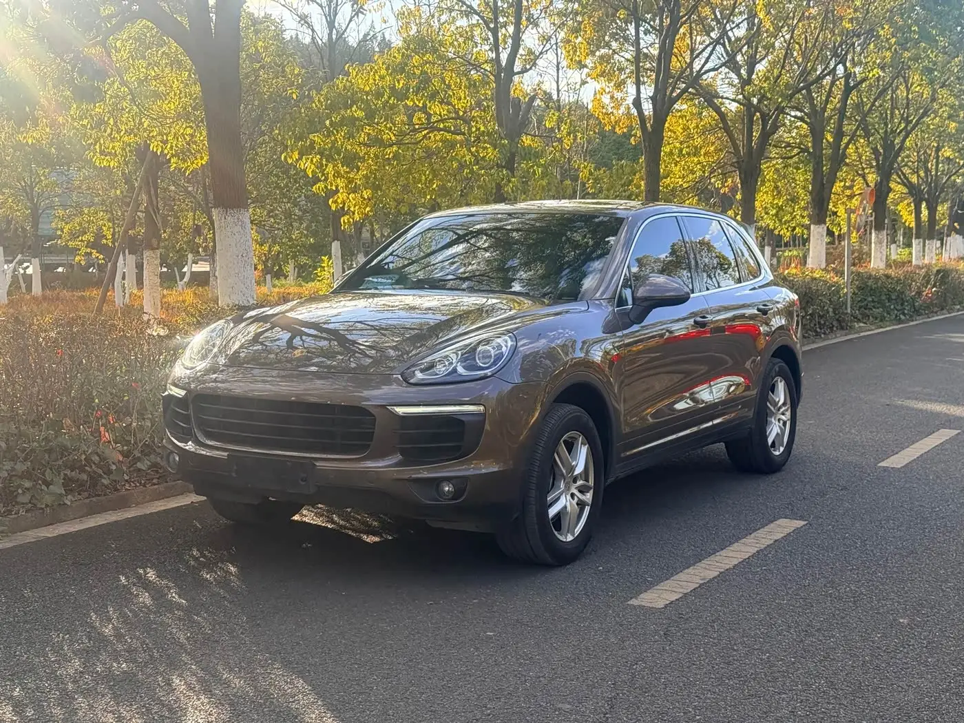 Porsche Cayenne, 2015
