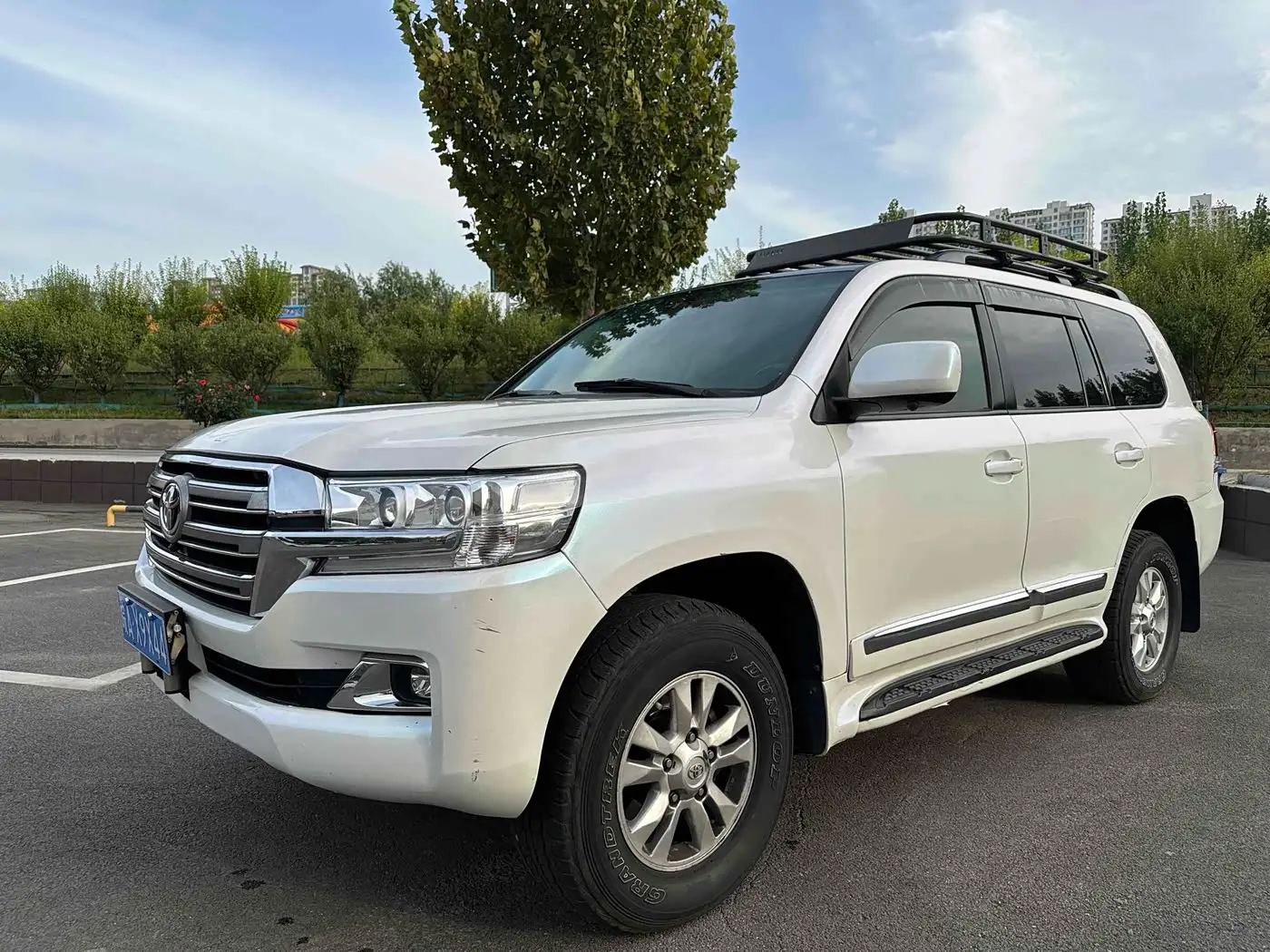 Toyota Land Cruiser, 2010